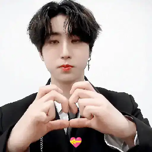 Han sticker (animated) 🍥 1