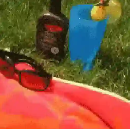 🥵 Verão | Doguinhos de Férias 21