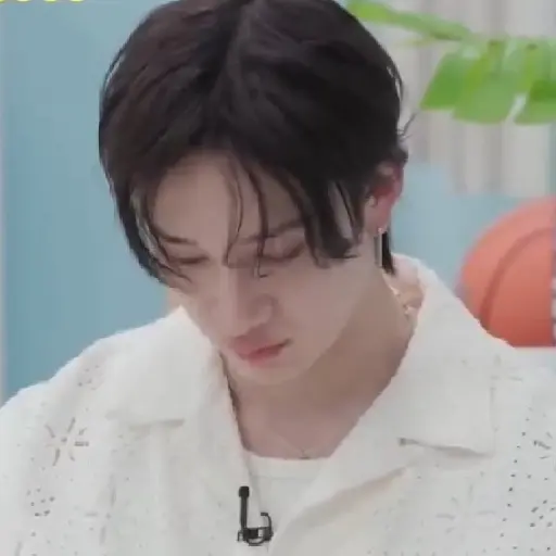 BANGCHAN / STRAYKIDS  8