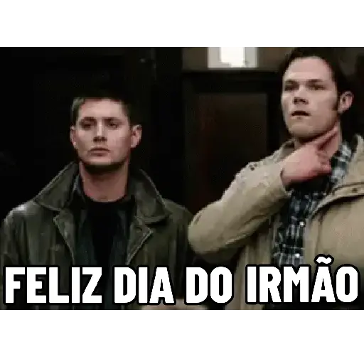 Feliz dia do irmão  9