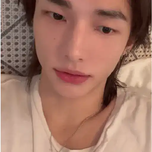 醙〘🤴🏻〙Hyunjin 12