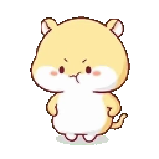 Hámster 🐹🐹 14