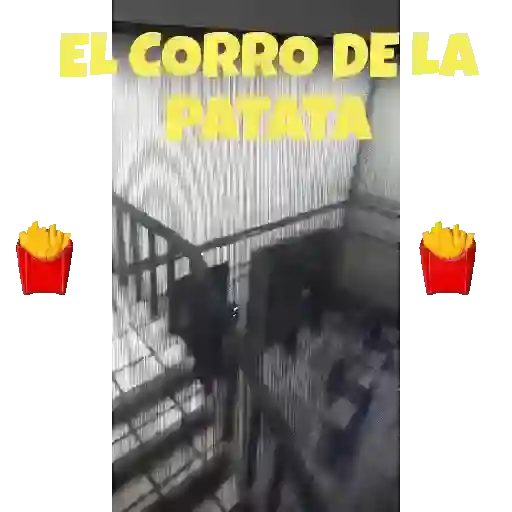 VideoStickers 5