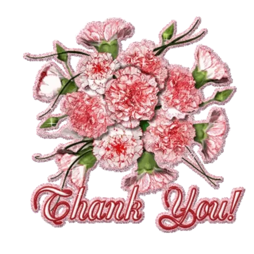 Thank You 5