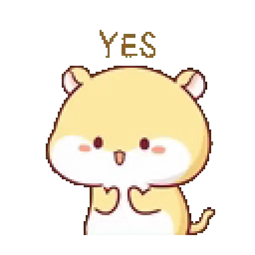 Hámster 🐹🐹 2