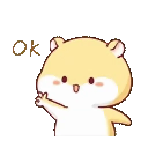 Hámster 🐹🐹 4