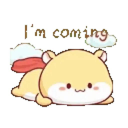 Hámster 🐹🐹 3