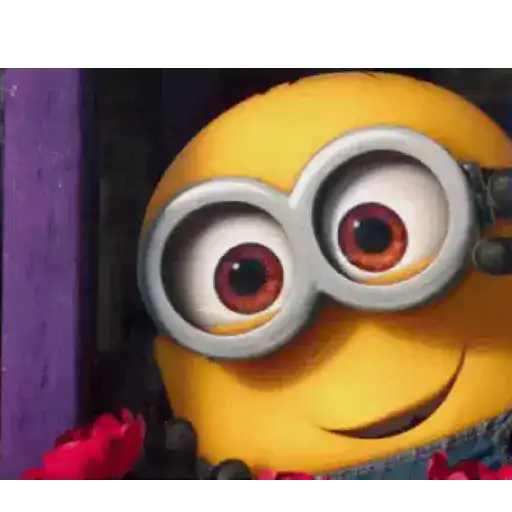 Minions 12