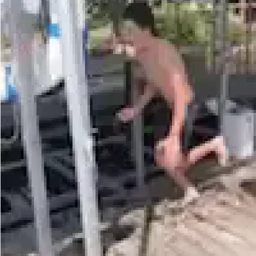 🥵 Verão | Doguinhos de Férias 18