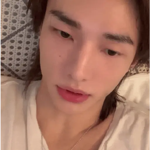 醙〘🤴🏻〙Hyunjin 13