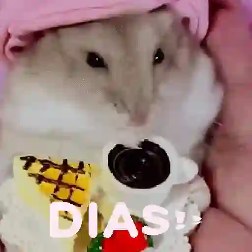🐹 Hamster Stickers  🐹 5