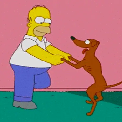 Simpsons 9