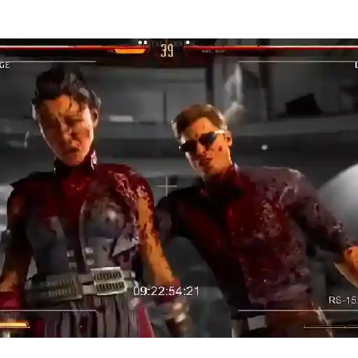 Johnny Cage meme 6