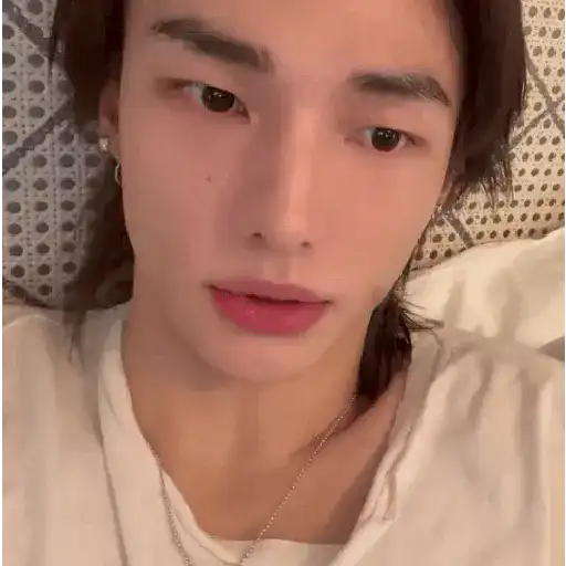 醙〘🤴🏻〙Hyunjin 14