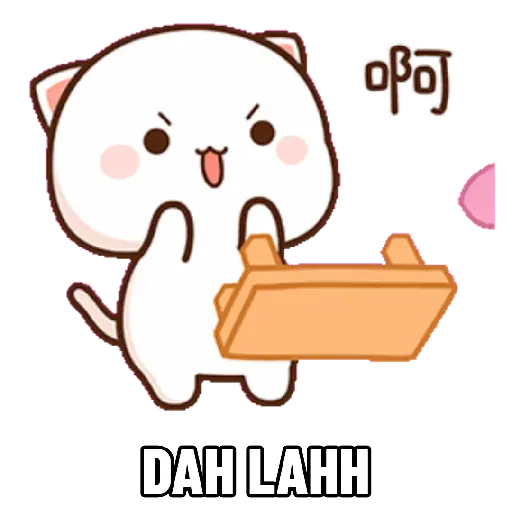 Mochi cat 28
