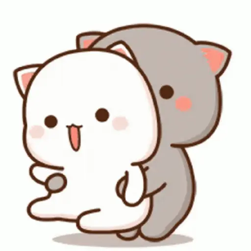 Kucing gemoy 13