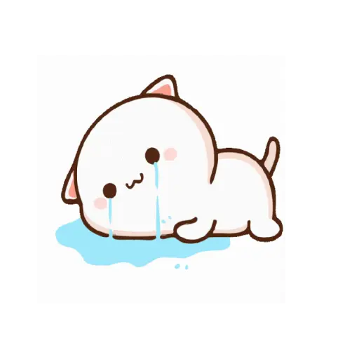 Gatitos🥲😢 8