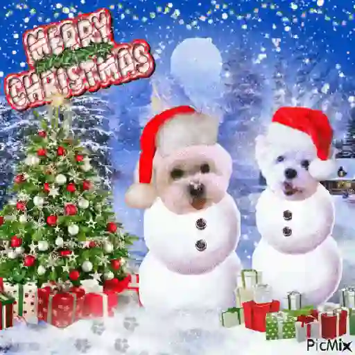 Stich Navidad  29