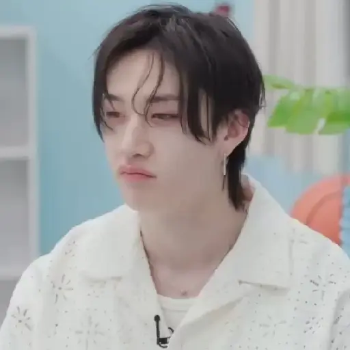 BANGCHAN / STRAYKIDS  9