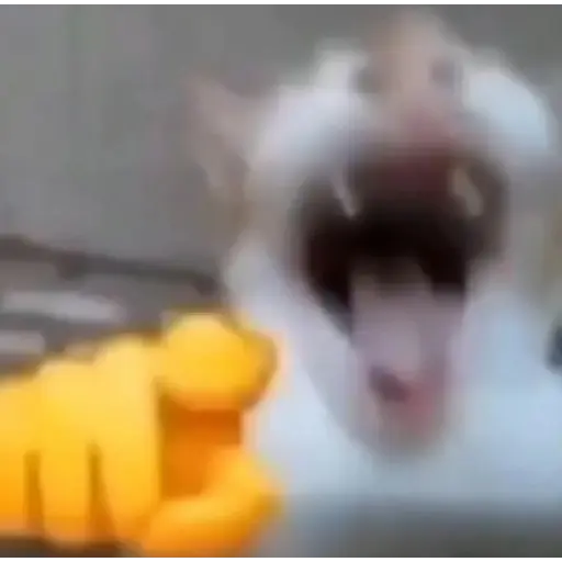 Mem 03 7