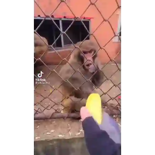 Gifs 13