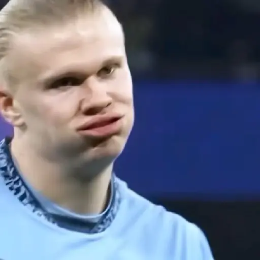 Erling Haaland ⚽🥅 2