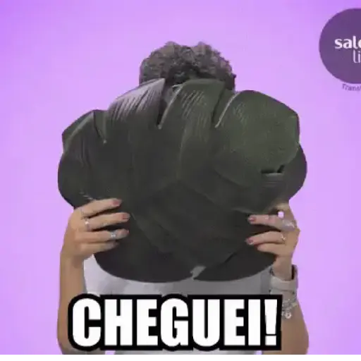 OLÁ 6