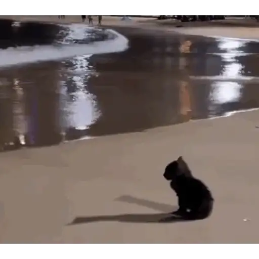 Perritos 2