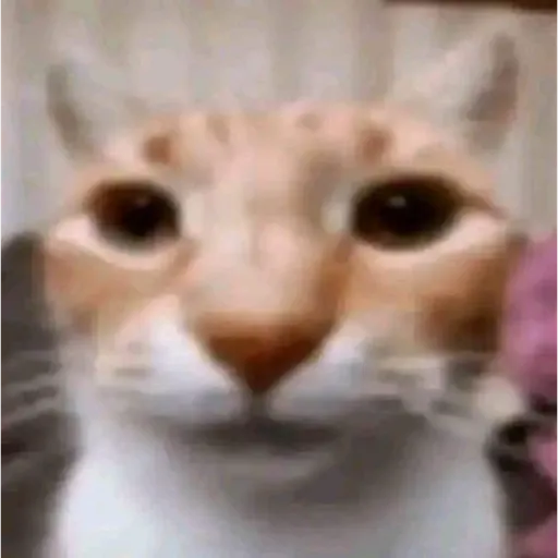 Aaaaaaaaaaaok 18