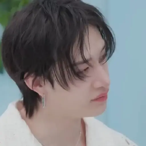 BANGCHAN / STRAYKIDS  11