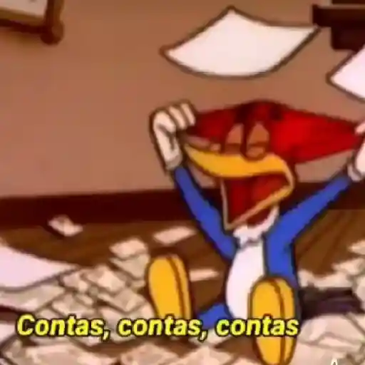 Picapau 1