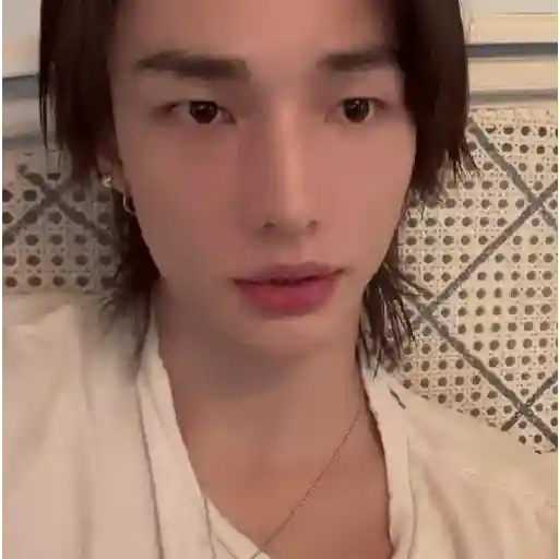 醙〘🤴🏻〙Hyunjin 10