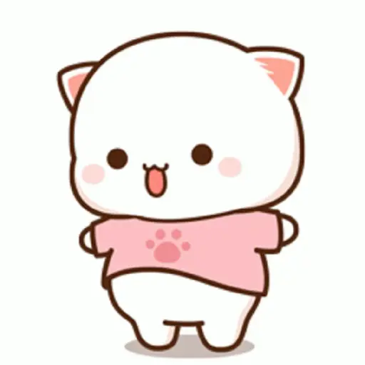 Kucing gemoy 11