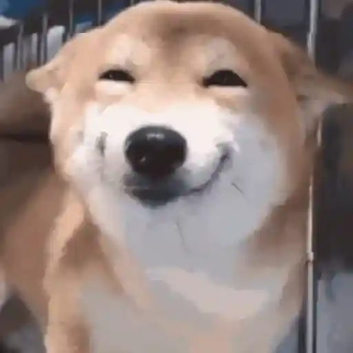 Feliz 1