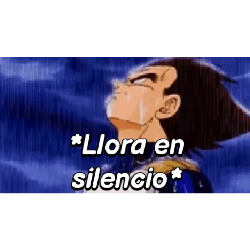 Dragon ball animado 1🐉🐉 2