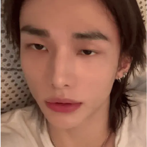 醙〘🤴🏻〙Hyunjin 15