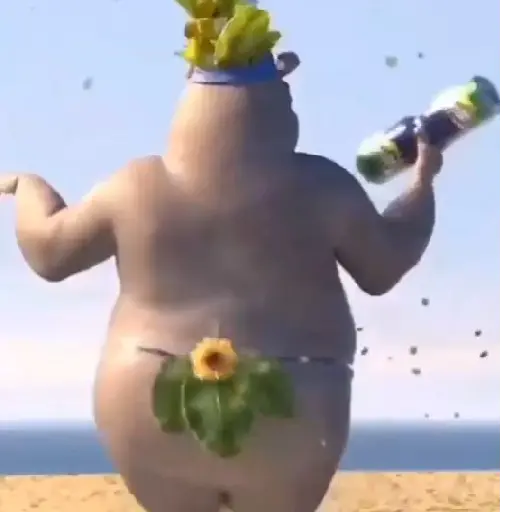 Bailecito 4