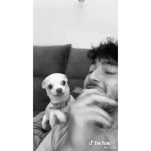 Gifs 9