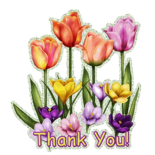 Thank You 4