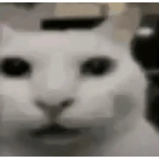 Aaaaaaaaaaaok 17