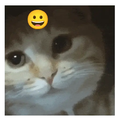 Gato expresión 👀👅😼 7