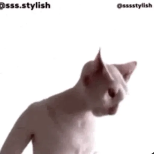Aaaaaaaaaaaok 10