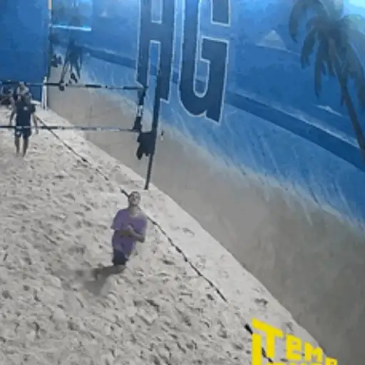 Vem pro Volei 29