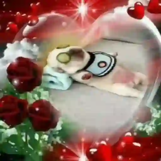 Random 3