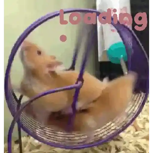 🐹 Hamster Stickers  🐹 20