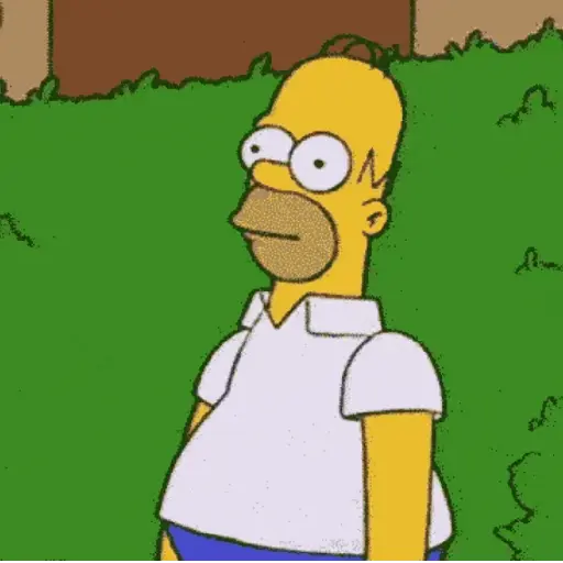 Simpsons 12