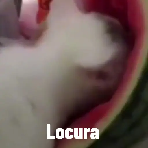 Gifs 18