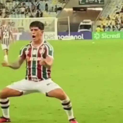 FLUMINENSE CAMPEÃO  13