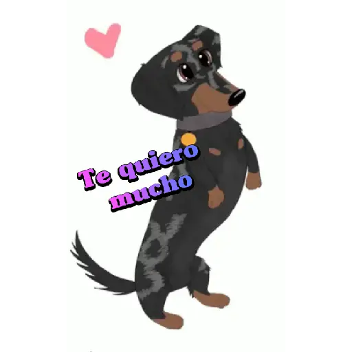 Perros salchichas 18