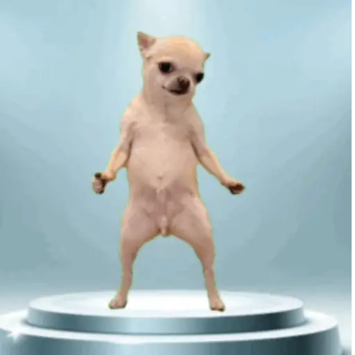 Anjing joget 1
